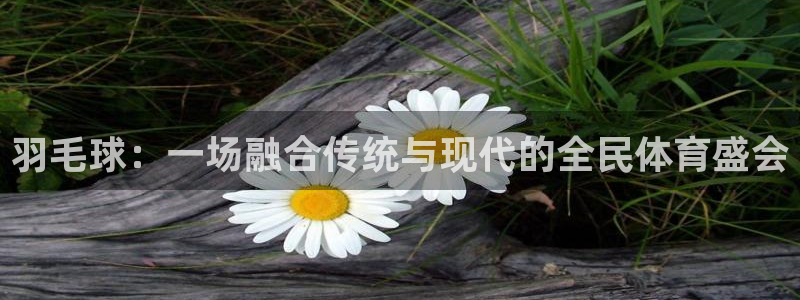 w88体育