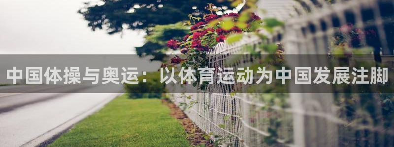 88体育直播app安卓版：中国体操与奥运：以体育运动为中国发展注脚