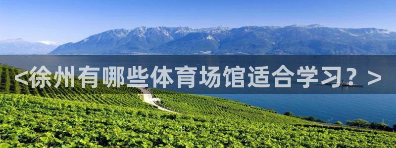 88体育app下载平台