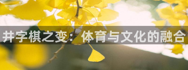 88体育会黑吗：井字棋之变：体育与文化的融合