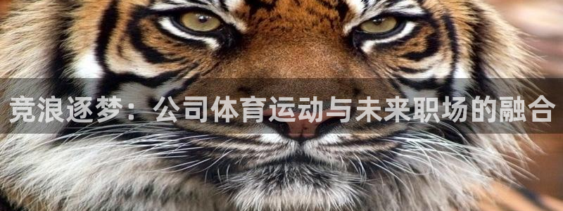 88体育苹果版