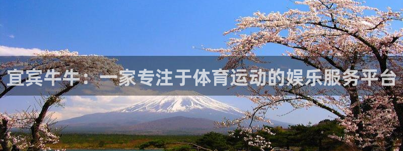 88体育会黑吗