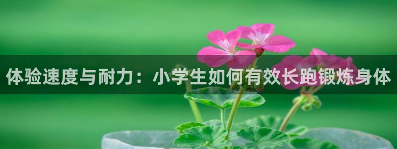 6688体育：体验速度与耐力：小学生如何有效长跑锻炼身体